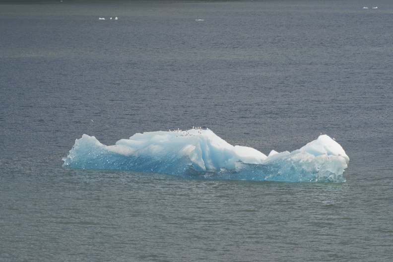 315-9128 Iceberg.jpg